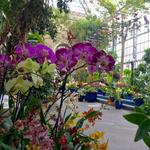 US Botanical Gardens