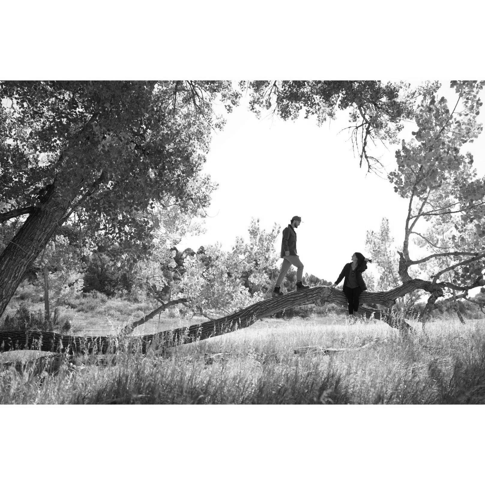 Colorado Springs, CO, 2021 - Impromptu photoshoot with some old friends at Garden of the Gods.