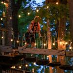 Treescape Aerial Adventure Park