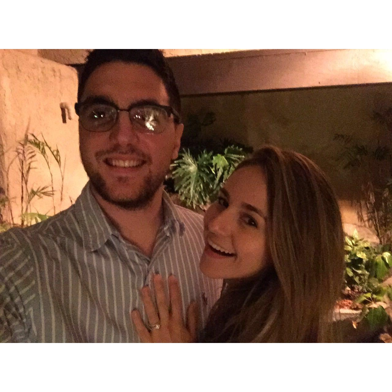 Engagement dinner, 2016