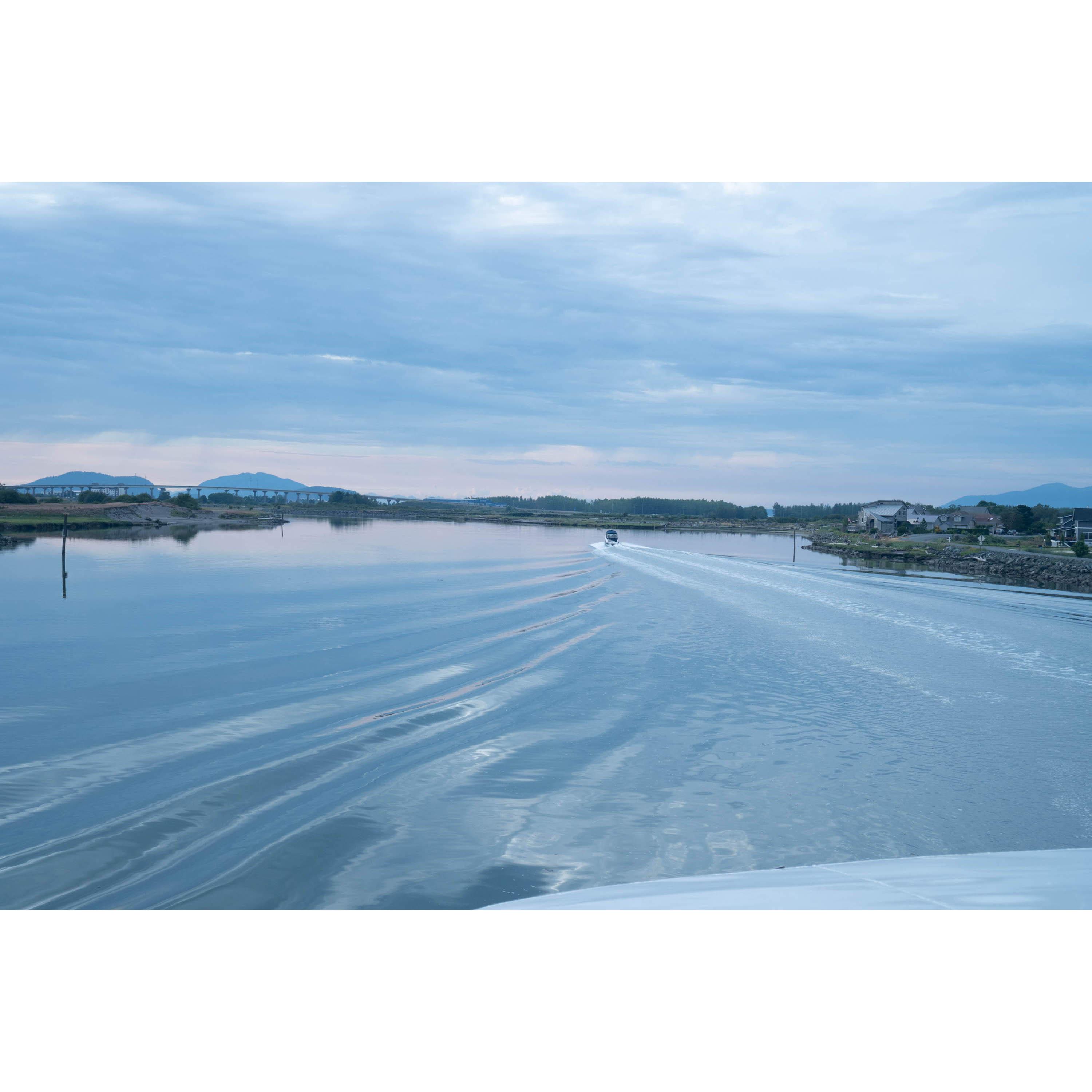 Beautiful view off the back of the whale watching boat