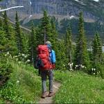Hiking in Glacier