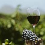 Sedona Wine and Beer Tours by Sedona Delivers, LLC