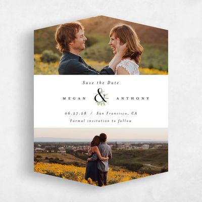 White Diamond Wedding Save the Date - Jackson Multiphoto
