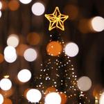 Nights of Lights