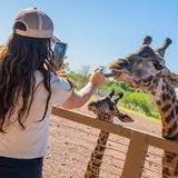 Phoenix Zoo