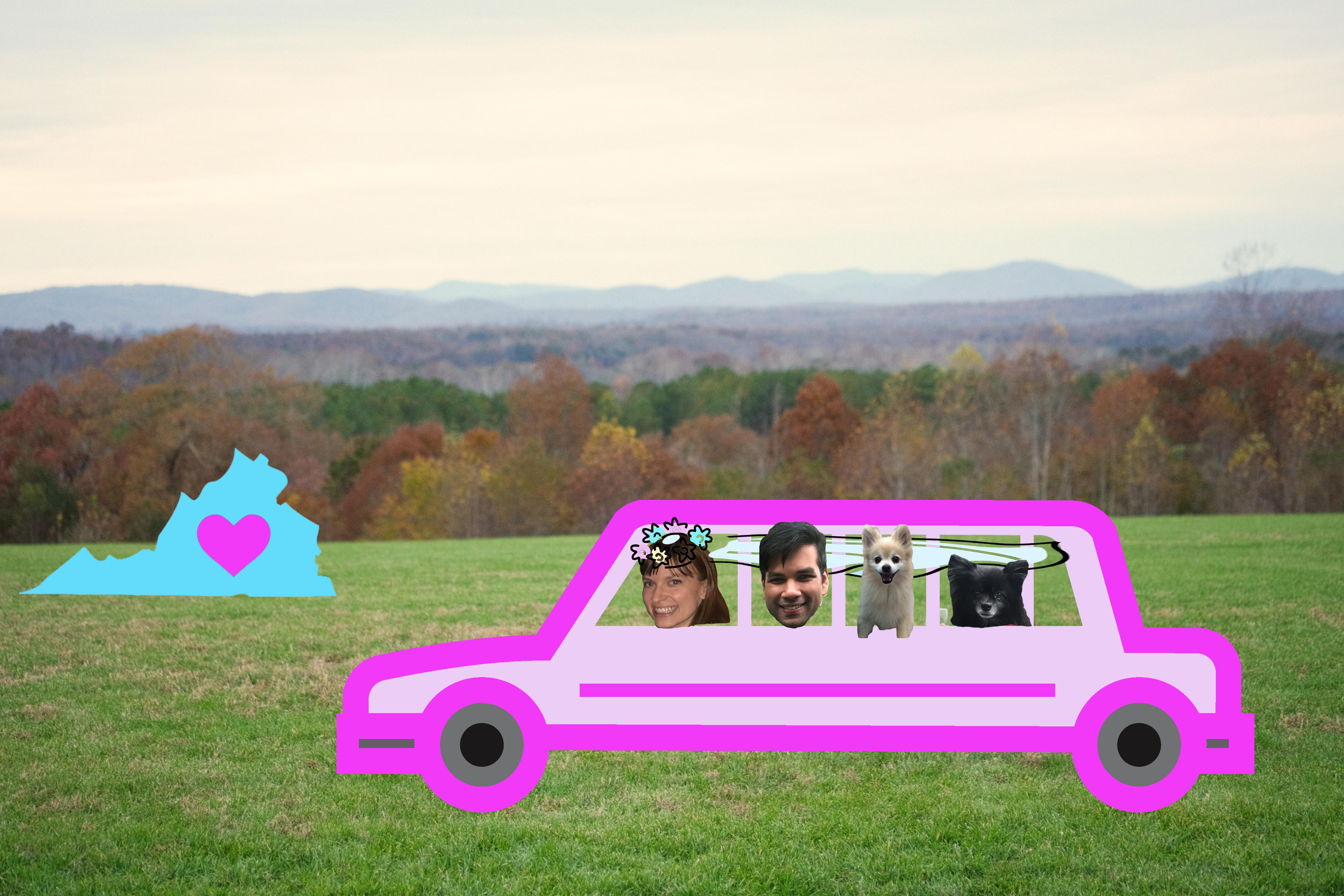 The Wedding Website of Virginia Workman and Shobhit Singla