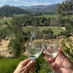 Rombauer Vineyards