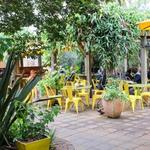 Sunflower Caffé