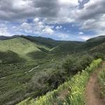 Hiking Trails