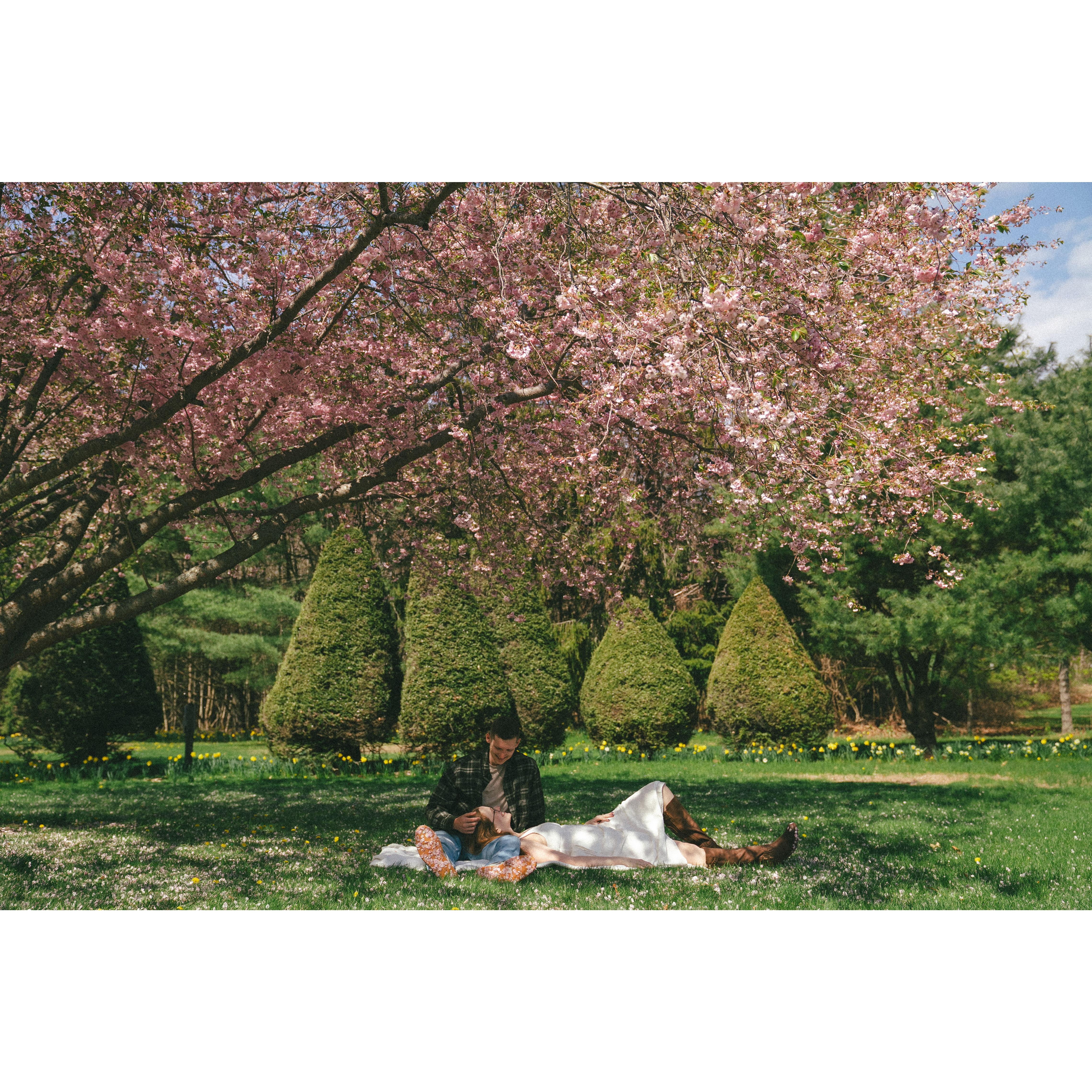 Engagement photos 2025