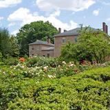 Tudor Place