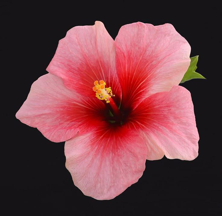67fd2f60-427d-49b4-a4fd-091c131dce65