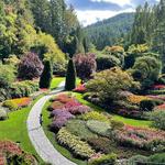 Butchart Gardens