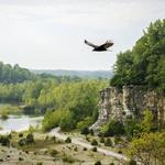 DePauw Nature Park
