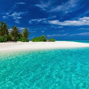 Fiji 2025!