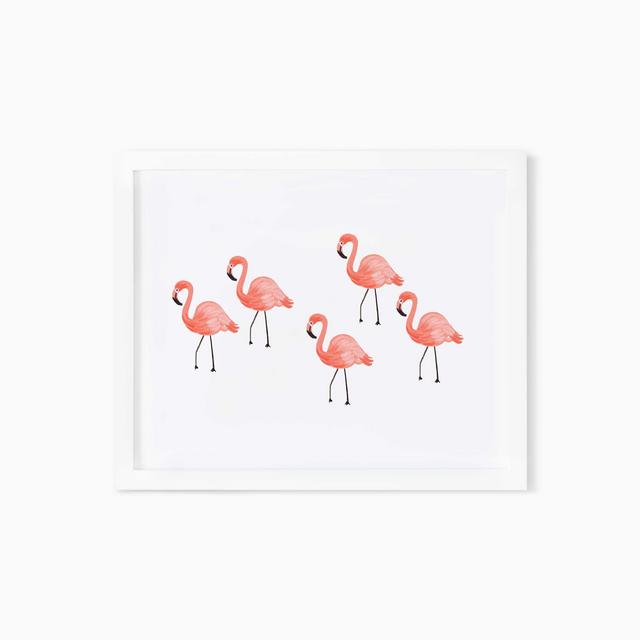 Flamingo Art Print