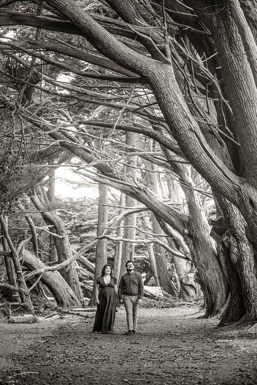 The Wedding Website of Ayiana Shin and Mark Bowen