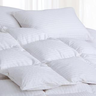 Superior 700 Fill Power European Goose Down Damask Comforter