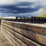 Effingham TREC Trail