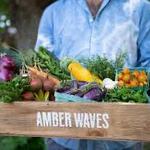 Amber Waves Farm, Market & Cafe