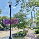 2025 Downtown Elgin Market