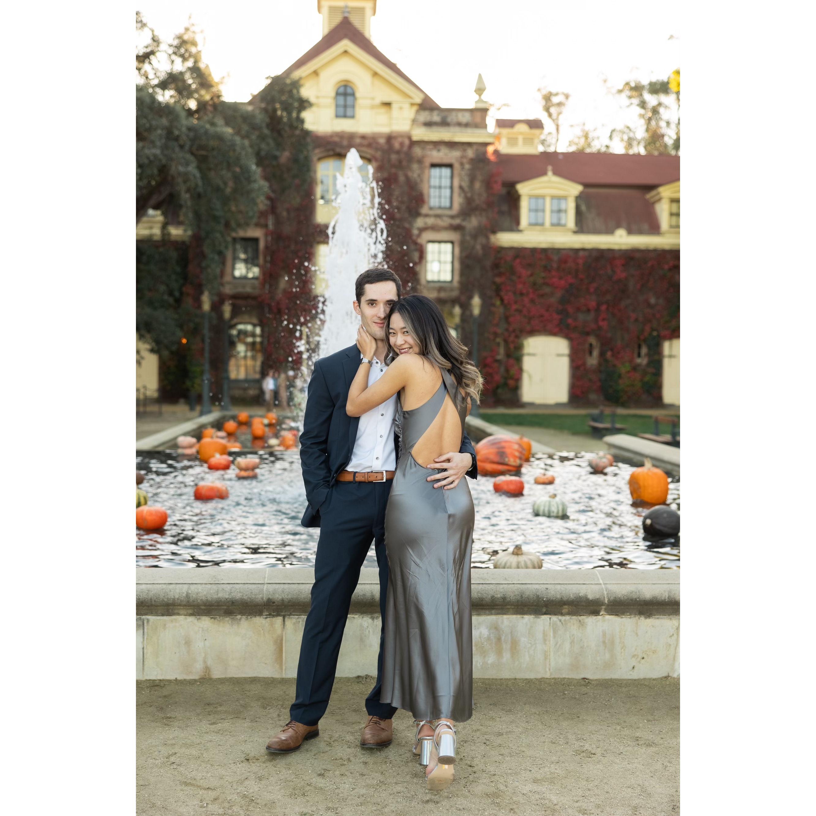 Our engagement at a very special Napa vineyard under beautiful fall leaves