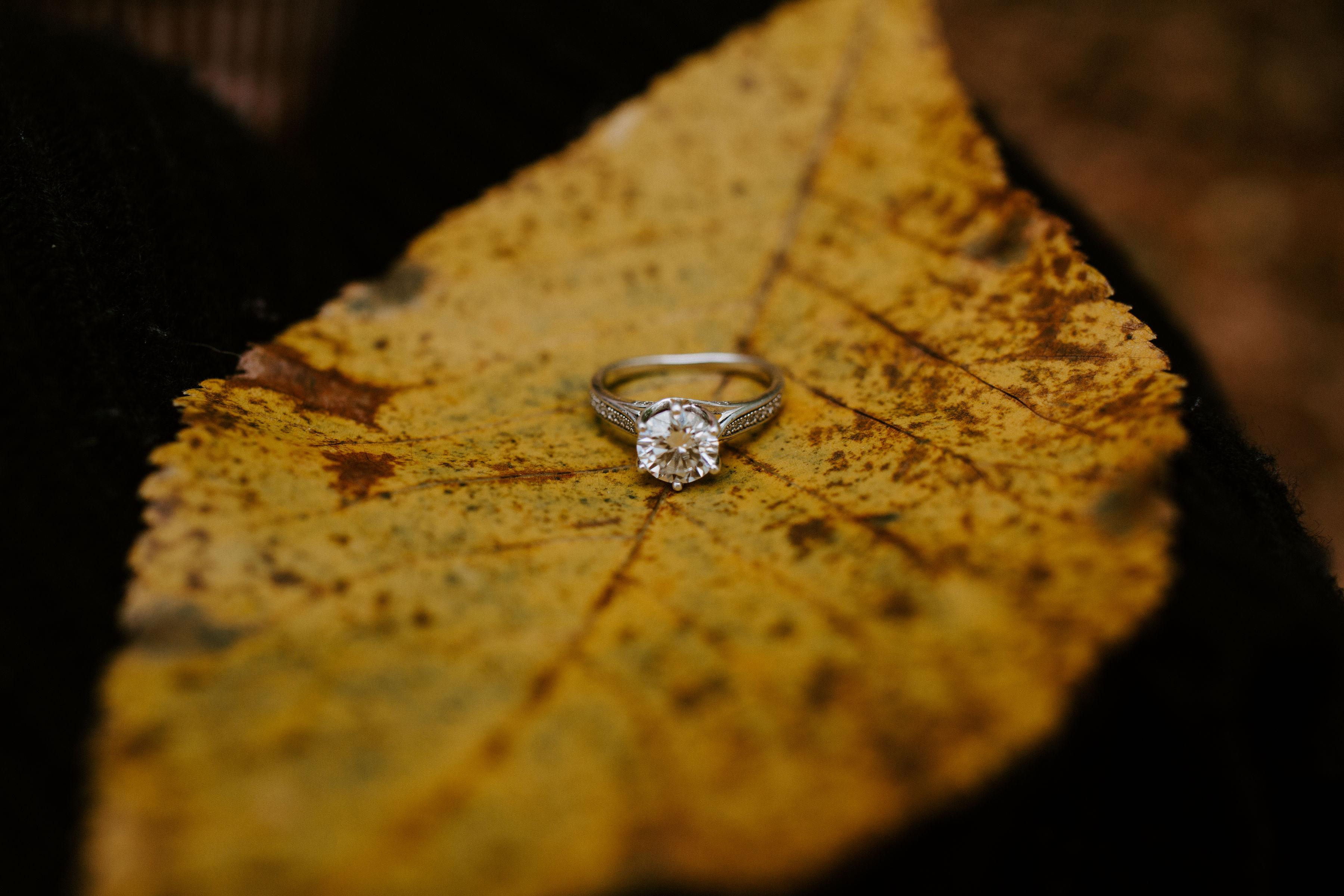 The Wedding Website of Lauren Freund and Jonathan Todd