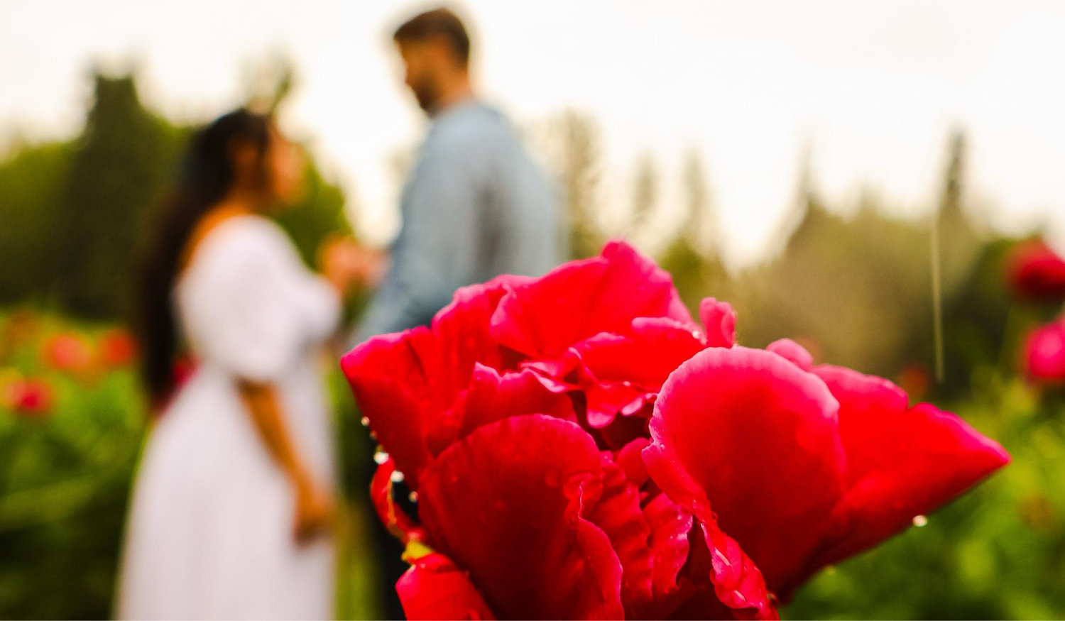 The Wedding Website of Kandee Meshew and Sean Rodgers