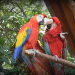 Living Treasures Animal Park