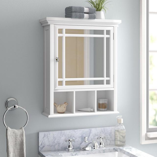 Taryn Removable Framed 1 Door Medicine Cabinet with 1 Adjustable Shelves