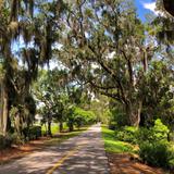 West Orange Trail