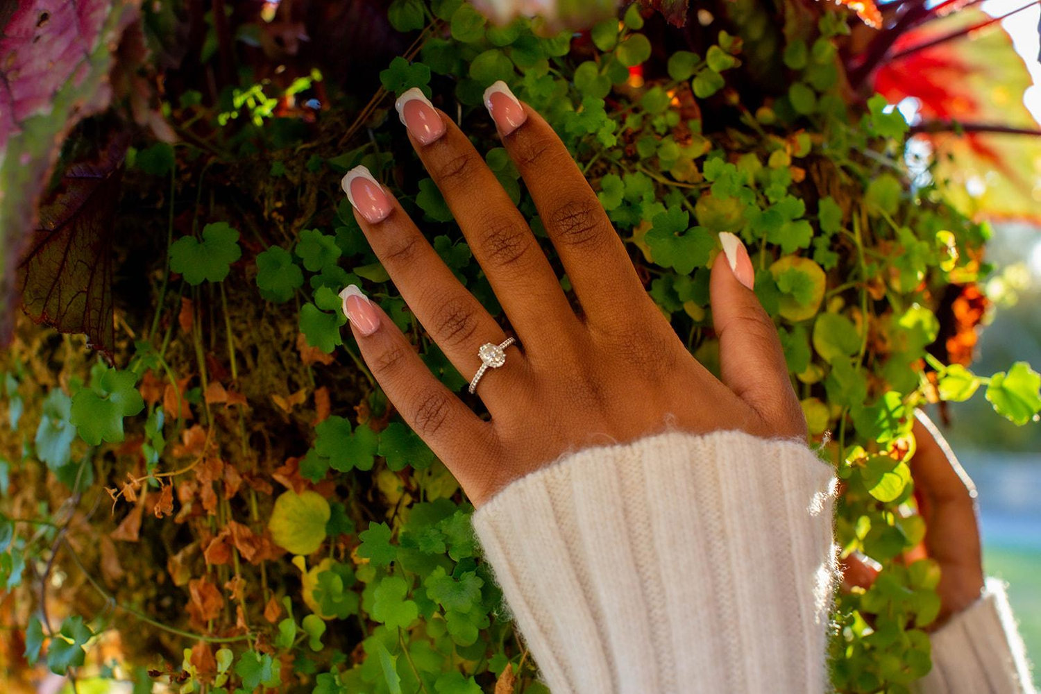 The Wedding Website of Rachel Pilgrim and John Thomas