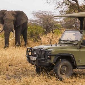 Private Safari Vehicle