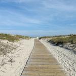 Head to the Jersey Shore!🌊☀️🐚