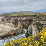Montaña de Oro State Park