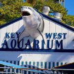 Key West Aquarium