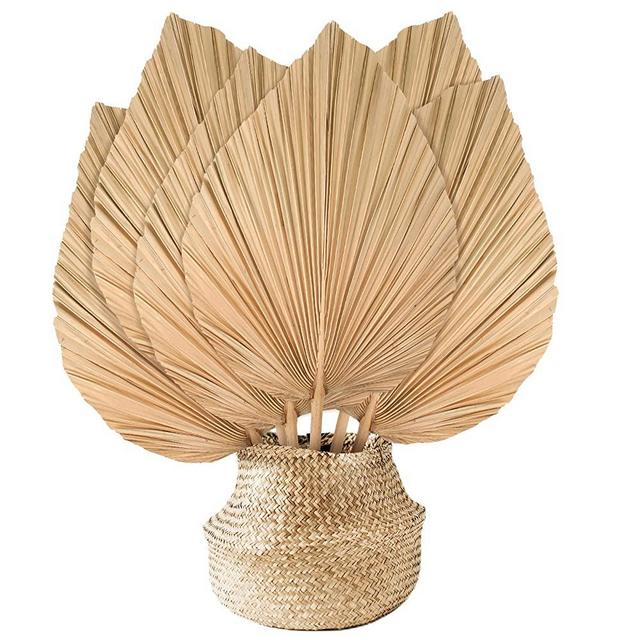 Natural Dried Palm Leaves Boho Palm Leaves Decor Heart Round Shape Palm Fans Tropical Palm Leaves Decoration Dried Palm Leaves Decor for Holidays Weddings Party Kitchen (Heart Shape, 9)