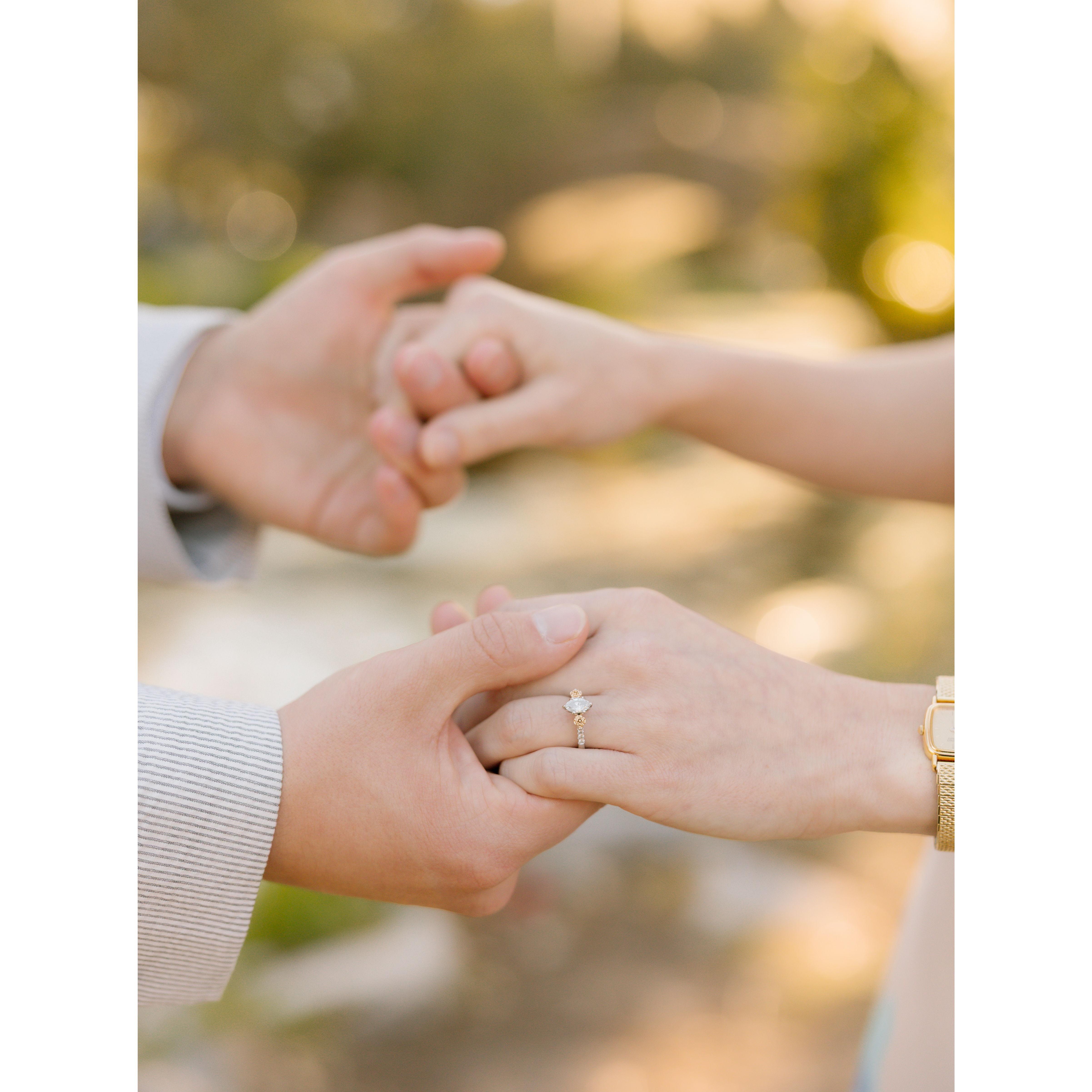 Engagement photos in City Park, New Orleans
