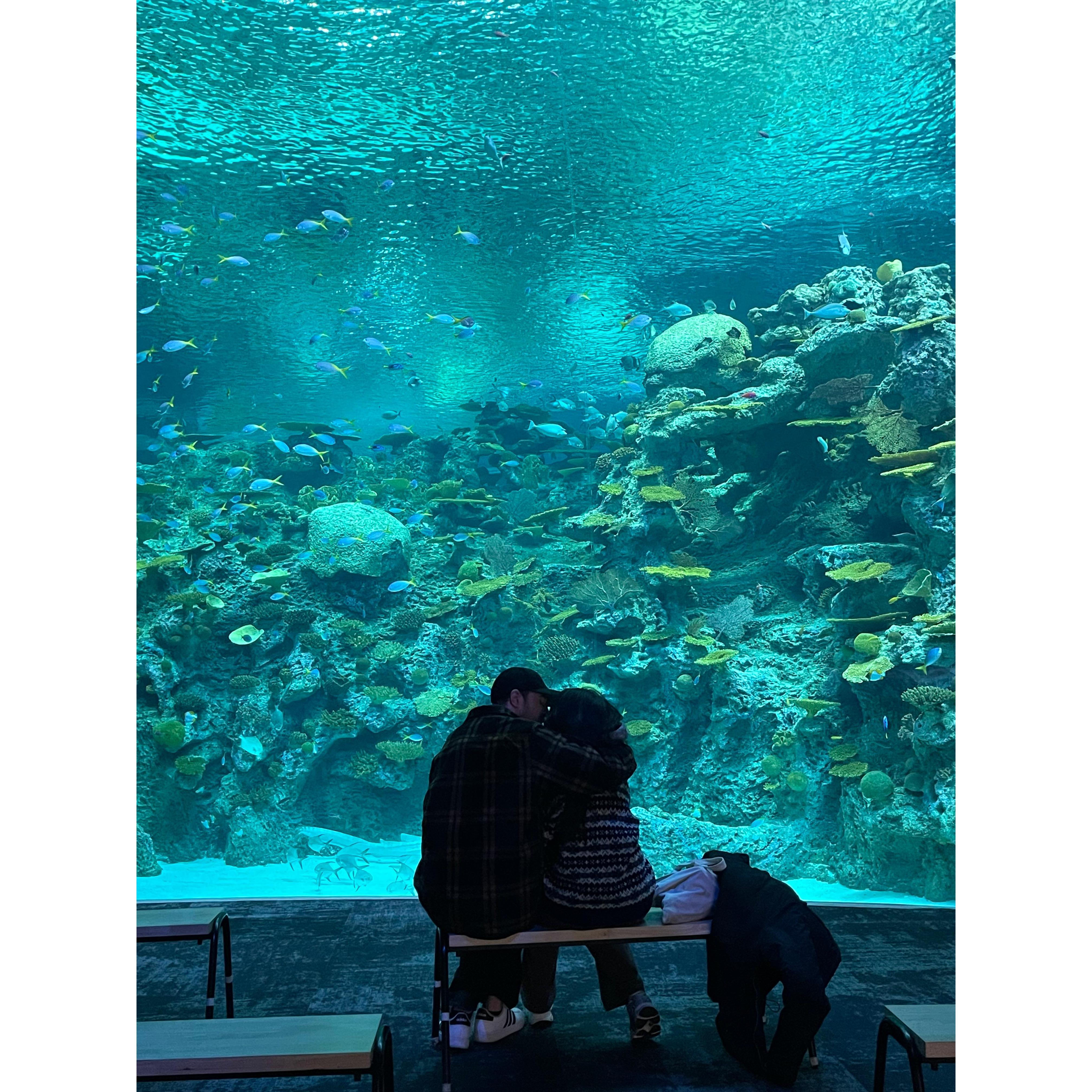 "I saw you two sitting on the bench, and i just HAD to take a photo of you two. You make a great couple. Do you want me to send you the picture or should i delete it?" - A random stranger