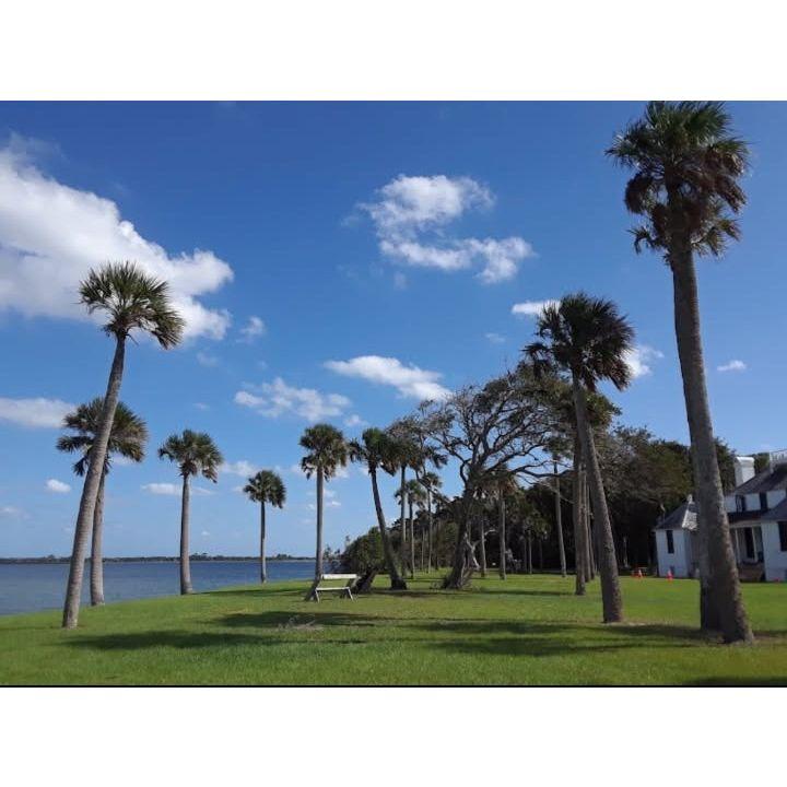 This is our ceremony location! We will set up between the palm trees with the water as our background