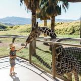 The Living Desert Zoo and Gardens