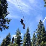 Treetop Adventure Course