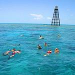 Visit the Reef