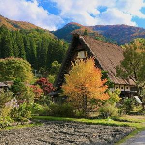 Trip to Japanese Countryside