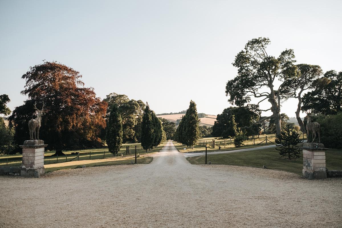 The Wedding Website of Brandy VanDenbrook and Nick Vanderhovel
