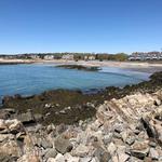Colony Beach