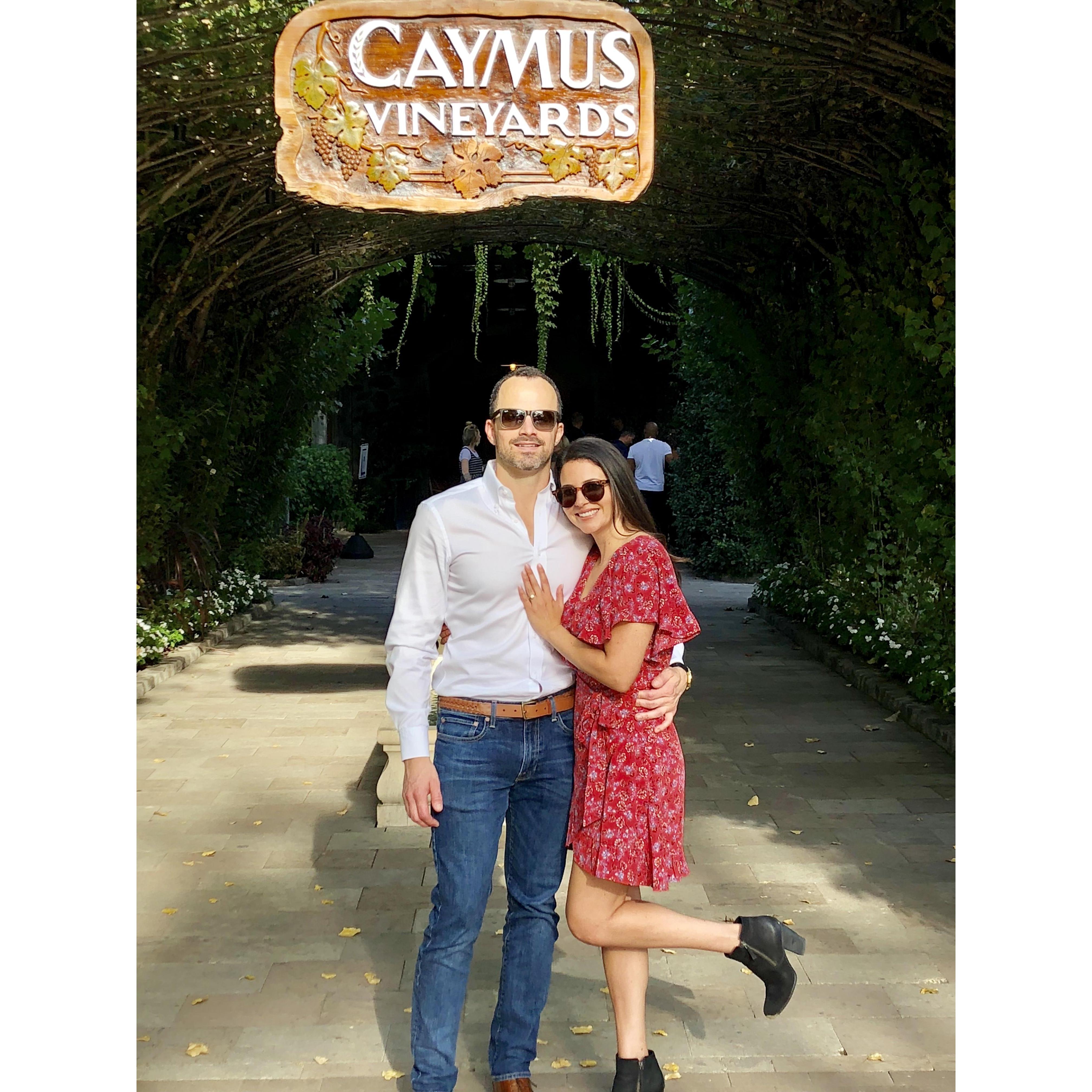 Engaged in Napa Valley