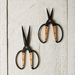 Barebones Garden Scissor Set