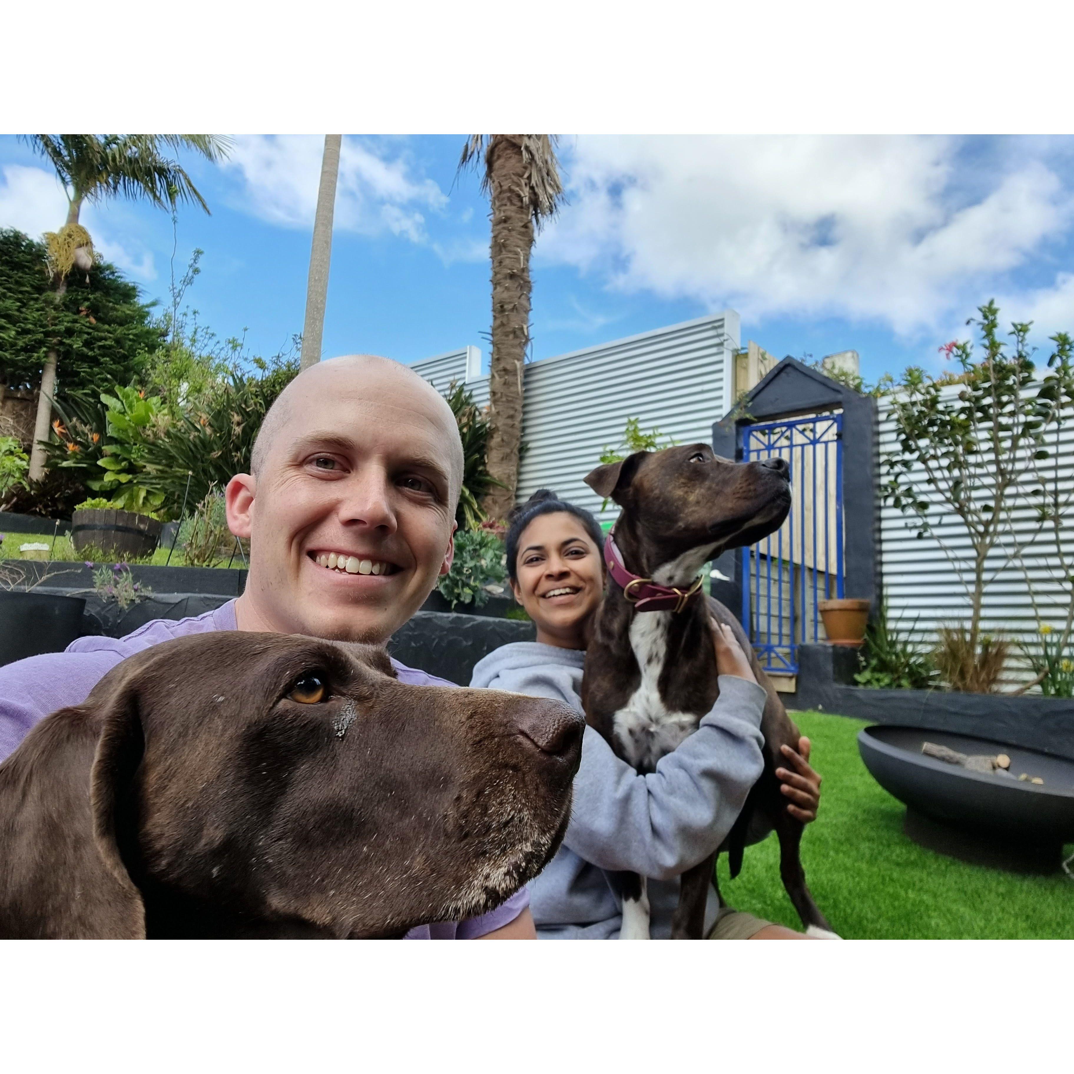 Our flower dogs for the special day 🌸